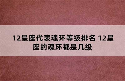 12星座代表魂环等级排名 12星座的魂环都是几级